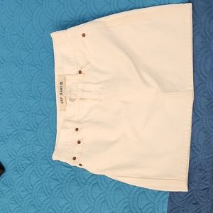 Gap skirt